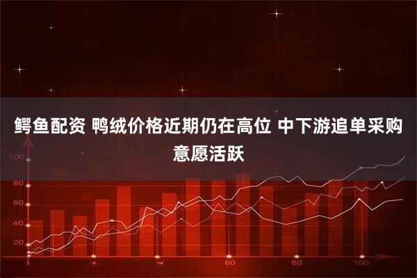 鳄鱼配资 鸭绒价格近期仍在高位 中下游追单采购意愿活跃