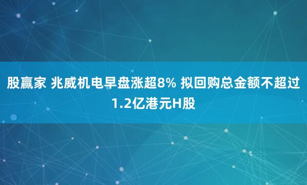 股赢家 兆威机电早盘涨超8% 拟回购总金额不超过1.2亿港元H股